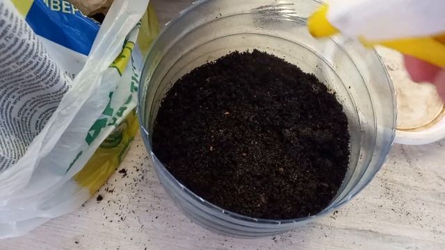 Туговсхожие семена сейте на салфетку!🌼✨🌹 смотреть онлайн