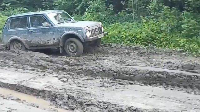 НИВА ПО ГРЯЗИ В ЛЕСУ. смотреть онлайн