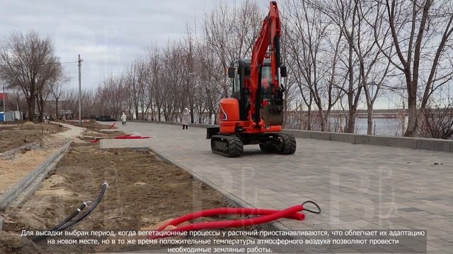 Озеленение верхней террасы набережной. 21.12.2025