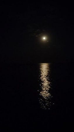 Ночное море🌊Дивноморское💃💃💃