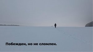 Эти рыбы очень хитры и огромны!