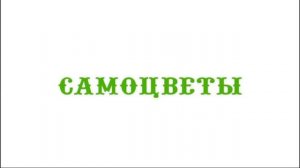 Рекламный блок ТНТ МАГНИТОГОРСК 07.10.2023