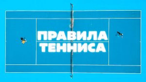 Правила большого тенниса: как играть, ведение счёта, корт