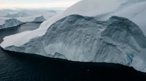 8318380-uhd_2560_1440_25fps