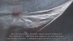 Пластиковые деньги: какие страны печатают банкноты из полимера
