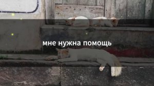 Моя семья выгнала меня в день рождения, а теперь требует, чтобы мой новый дом стал «семейным активо