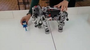 Модель робота из конструктора LEGO Mindstorms «Слон Иви»