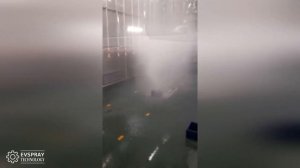 Дождевальная камера. Форсунки на хомуте.