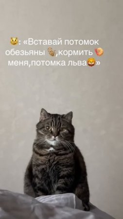 Как это знакомо!