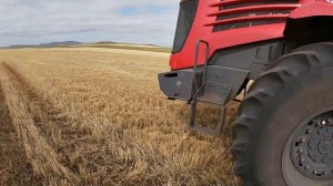 Кировец К7 . И старые прицепы ПТС-9 и ПТС-12. Дешёвая альтернатива дорогим прицепам.