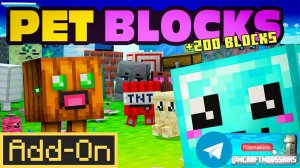 Add-on "Pet Blocks"