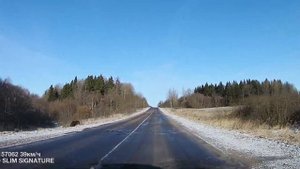 Лоси в Руднянском районе