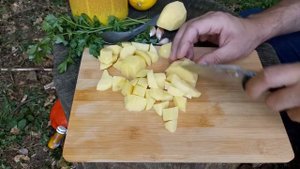 Нож Spyderco Tenacious Serrated кухонный тест / test