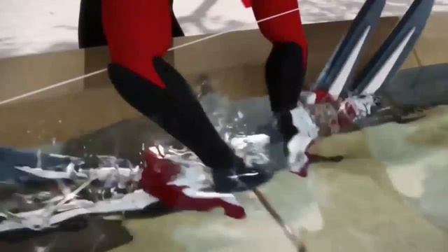 леді бак і супер кіт ПОЛОВИНА МАЯ смотреть онлайн