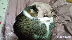 немного всего