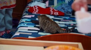 ЖИЗНЬ В УРАЛЬСКОЙ ГЛУБИНКЕ | 1000 ПЕЛЬМЕНЕЙ НА НОВОГОДНИЕ ПРАЗДНИКИ | ПОЛНЫЙ ДОМ ГОСТЕЙ