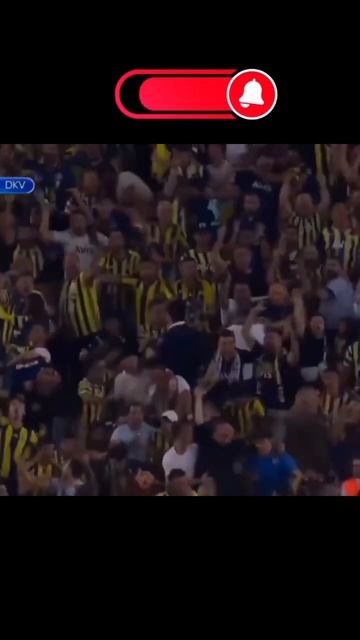 Teşekkürler Atilla Szalai🖐🏻#fenerbahçe #shorts
