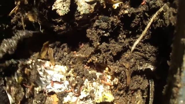 Окончание 17.09.12 1 смотреть онлайн