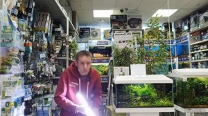 Светильник для аквариума Prime. Обзор.