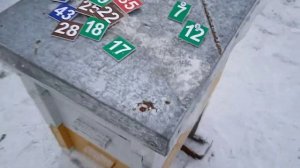 Номерки для ульев