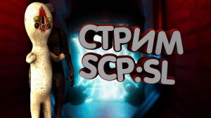 ВНИМАНИЕ СТРИМ! ИГРАЕМ В SCP:SL ЗАХАДИТЕ БУДЕТ ОЧЕНЬ КРУТО И ВЕСЕЛО!