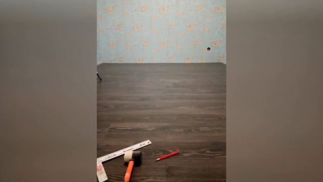 ЧУДЕСНОЕ ПРЕОБРАЖЕНИЕ ДОМА, ВЕС ПРОЦЕСС смотреть онлайн