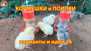 Кормушки и поилки для кур своими руками 26 🪚🪛 Пошаговая инструкция как сделать 🐔 🐓❣️