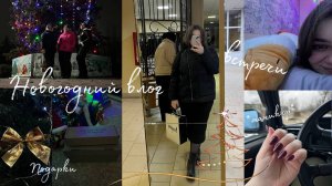 vlog встречи с подружками / учеба и жизнь / новогодний влог