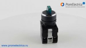 B131SL31Y Переключатель с подсветкой неон 2-0-1 с фиксацией в 1 положении зеленый (2 НО) Emas