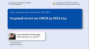 Годовой отчет по СМСП за 2024 год