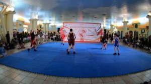 День рождения ДСА. Вольная борьба