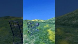 Уровень 657 - "На маленьком острове живёт только одна тележка для покупок" (викидот)