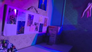 Мой рабочий стол