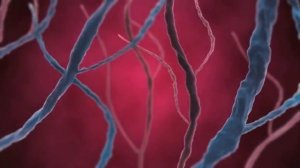 Реклама зубной пасты