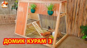 Курятник 3 для дачи или в сад на лето ❣️🥰🤗