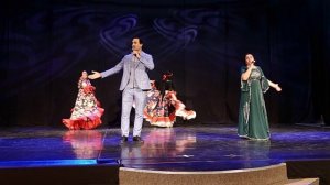 ВИШНЕВАЯ МЕТЕЛЬ