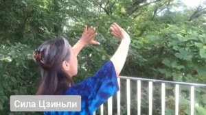 002 Чжанчунь гун