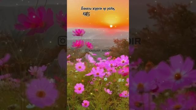 🌺ӘР АТҚАН ТАҢҒА ТІЛЕК🌺