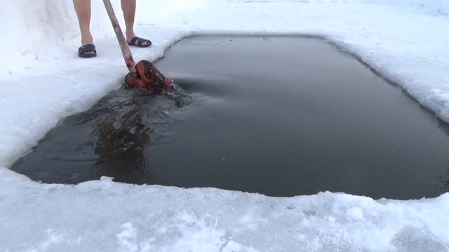 Воскресенье 16.01.22 "Девон-Октябрьский", клубный день смотреть онлайн