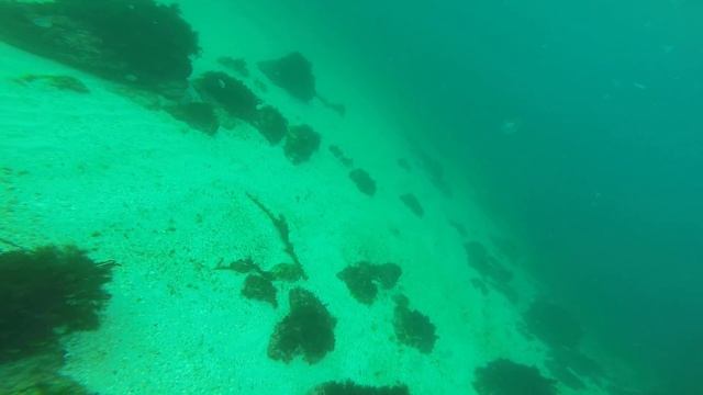 Крым, Севастополь, Голубая бухта. Crimea. Sebastopol underwater.