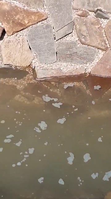 Строительство декоративного водоёма. Строим водопад. #ландшафтныйдизайн #пруд #pondbuild #trending