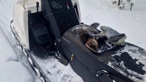 Снова в тайге. Уже не зря!