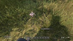 Гайд по выживанию. Добыча еды и воды. DayZ Standalone 1.10