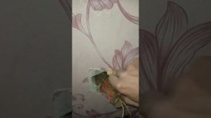 Замена розетки в панельном доме.