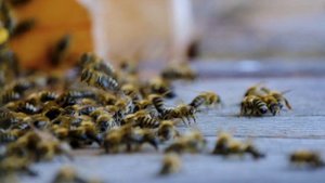 Знамения для не размышляющих