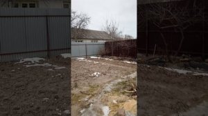 Голуби егорьевск