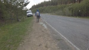 Снегопад из бабочек 4К (2)