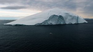 8318379-uhd_2560_1440_25fps