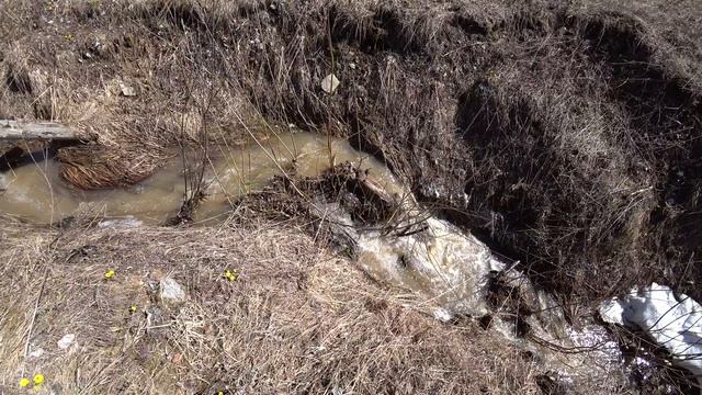 Весенний поход к реке Мостовка смотреть онлайн