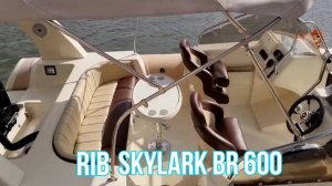 Риб SKYLARK BR 600. Видео от нашего клиента из Москвы